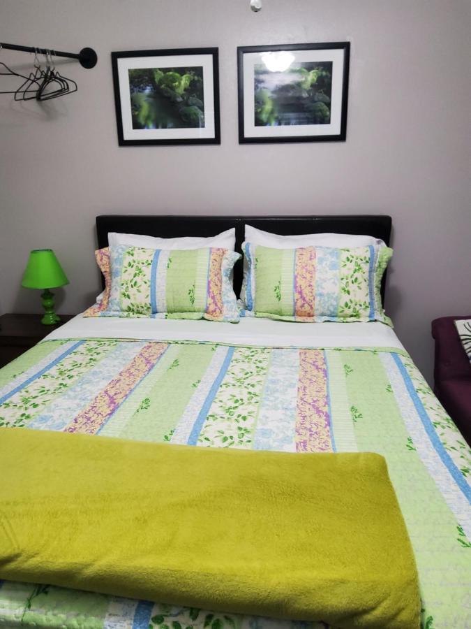 Beautiful Apartment Close To Everything Tampa Dış mekan fotoğraf