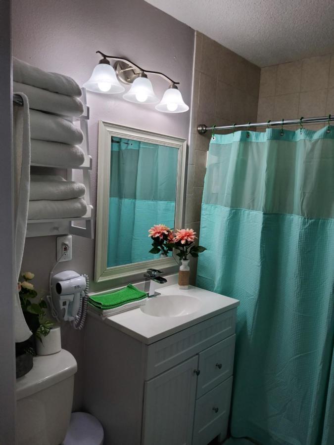 Beautiful Apartment Close To Everything Tampa Dış mekan fotoğraf