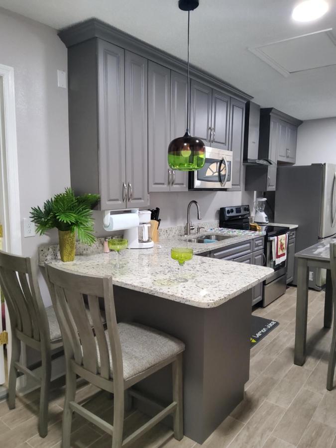 Beautiful Apartment Close To Everything Tampa Dış mekan fotoğraf