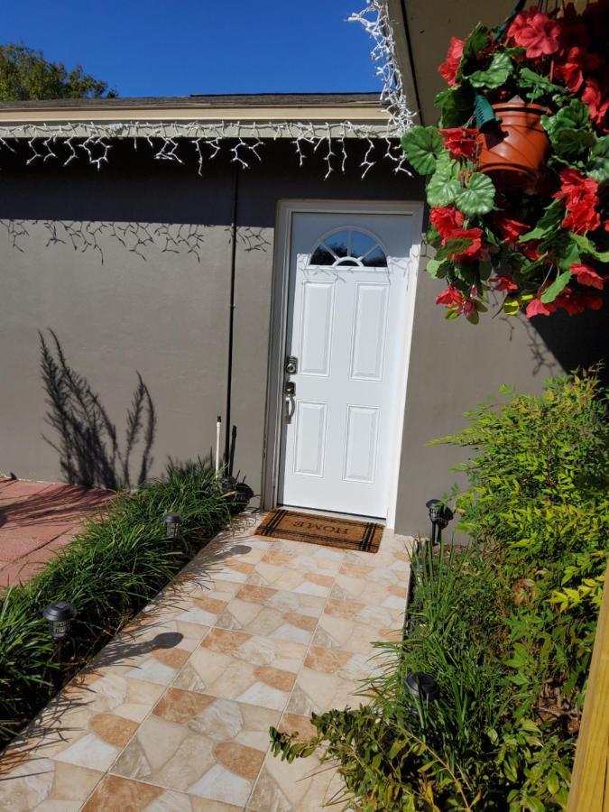 Beautiful Apartment Close To Everything Tampa Dış mekan fotoğraf
