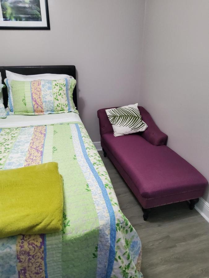 Beautiful Apartment Close To Everything Tampa Dış mekan fotoğraf