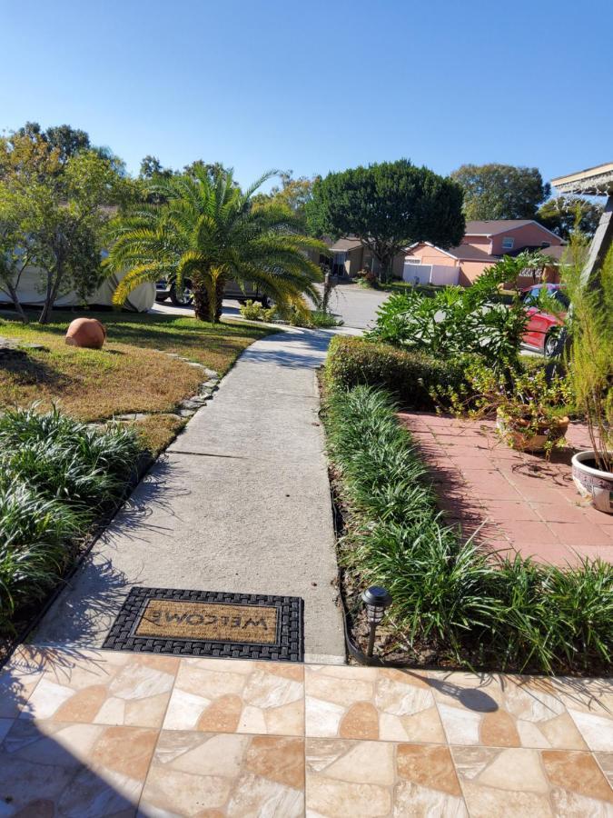 Beautiful Apartment Close To Everything Tampa Dış mekan fotoğraf