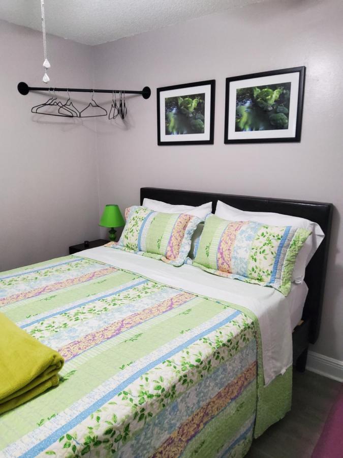 Beautiful Apartment Close To Everything Tampa Dış mekan fotoğraf